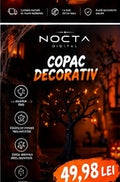 Copac decorativ