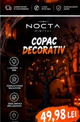 Copac decorativ